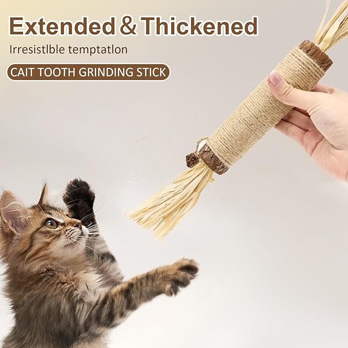 2 Pcs Natural Huge Silvervine Sticks Cat Toys - Large Catnip Toys Indoor Cats Interactive Matatabi Dental Care Teething Chew Toys for Cats and Kittens Who Love to Chew