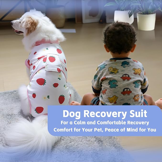 PET Glam Recovery Suit for Dogs Cats, After Surgery, Alternative E-Collar Dog CAT. PET Shirt Breathable Abdominal Wounds, Neuter Cotton, Prevent Licking Onesie Surgical (RED, XS)