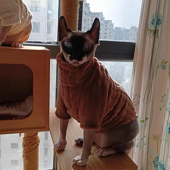 Turtleneck Sweater for Sphynx Cat Soft Coral Fleece Cat Clothes Thick Winter Warm Outfit Coat for Hairless Cats and Small Dogs Apparel with Sleeves (Brown, S (3-5 lbs))