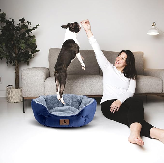 Asvin Small Dog Bed for Small Dogs, Cat Beds for Indoor Cats, Pet Bed for Puppy and Kitty, Extra Soft & Machine Washable with Anti-Slip & Water-Resistant Oxford Bottom, Blue, 20 inches