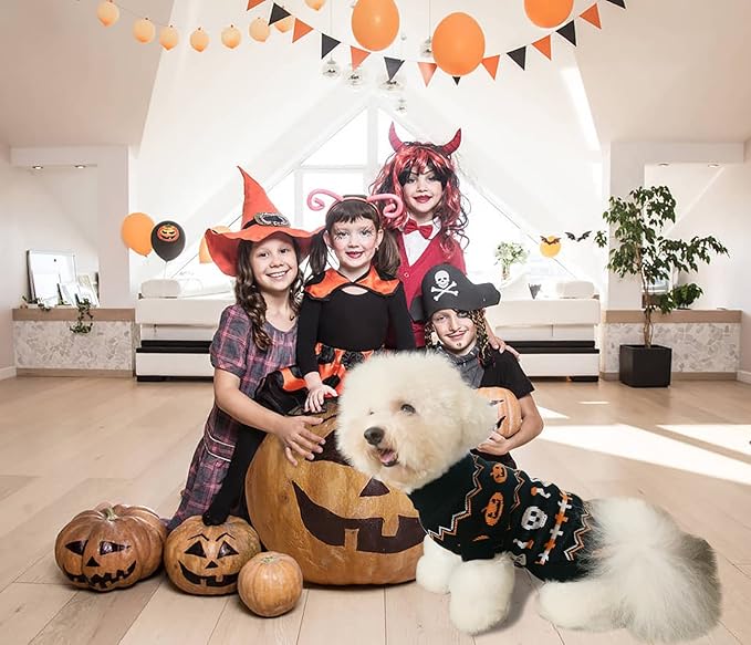 2Pcs Pet Halloween Sweaters Dog Halloween Pumpkin Sweater Kitten Cat Holiday Theme Turtleneck Knitwear Shirt with Pumpkin Skull Patterns Dog Puppy Halloween Costume Clothes for Small Dogs XL