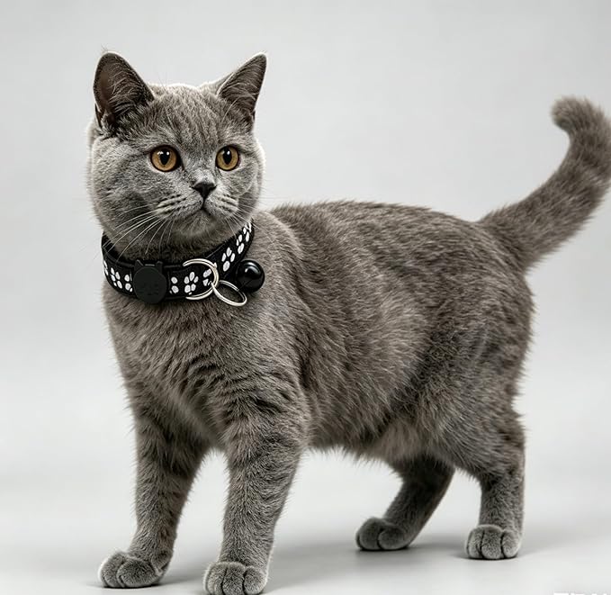 6 Pack Cute Paw Print Cat Collars, Breakaway Safety Nylon Cat Collars with Removable Bell, Adjustable 19-32cm for Kitten & Adult Cat