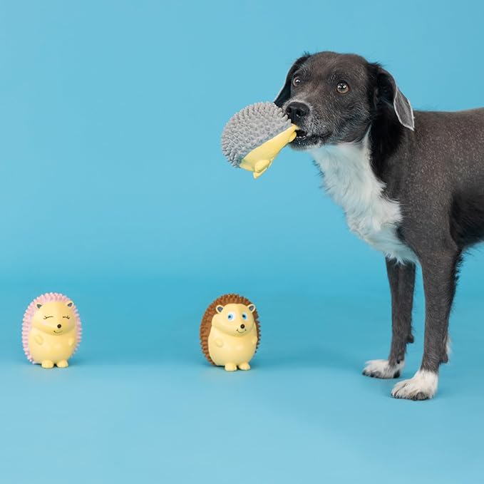 Fringe Studio Dog Toy Set, On A Roll, 3Pc Mini, Latex, Pet Shop Collection (367041)