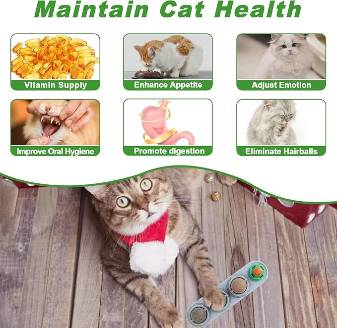 KIMOBER 4 Pack Catnip Ball for Cats,Edible Kitten Chew Toys with Catnip Silvervine Gall Fruit Flavors for Cats Lick Dental Teeth Cleaning Cats Wall Treats