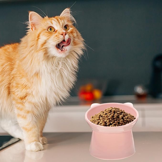 jojofuny Elevated Tilted Cat Food Bowl with Neck Guard, Food-Grade Plastic Raised Pet Feeder for Indoor Cats and Small Dogs, Cute Pink Slow Feeder Bowl for Feeding and Watering