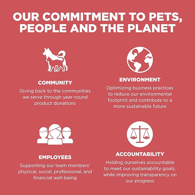 Go! Solutions Sensitivities Limited Ingredient Salmon Grain-Free Dry Cat Food, Chicken-Free Kibble Made by Experts for Sensitive Stomachs & Food Allergies, for Kittens, Adults, & Seniors, 12 lb Bag