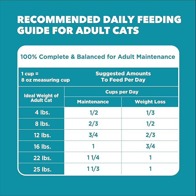 IAMS Proactive Health Dry Cat Food, Indoor Weight and Hairball Care Cat Food Dry Recipe, with Real Chicken in Every Bite, 16 lb. Bag