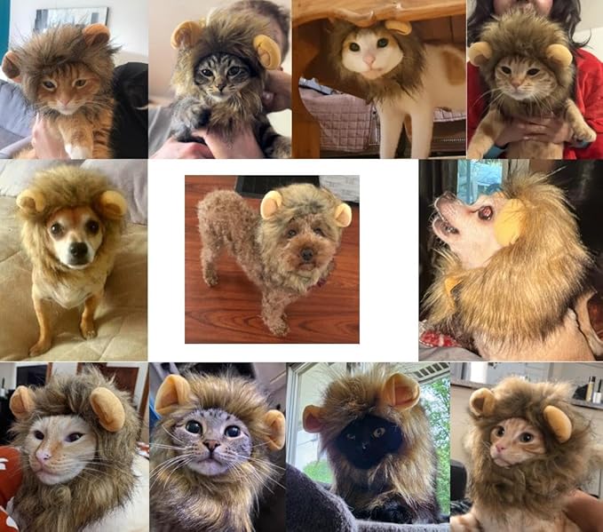 Lion Mane Costume for Cats and Small Dogs, Adjustable Washable Pet Dress with Ears for Halloween Christmas Easter Festival Party Activity(Small)