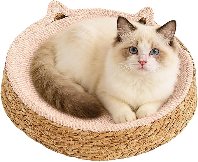 Cat Lounge Disc Bed Circular Sisal Fiber Ventilated Cooling Scratch Board Pad Rest Sleep Toy Tunnel Jump Fitness Paw Care Relaxation Ergonomic Nonslip FurnitureSafe Premium