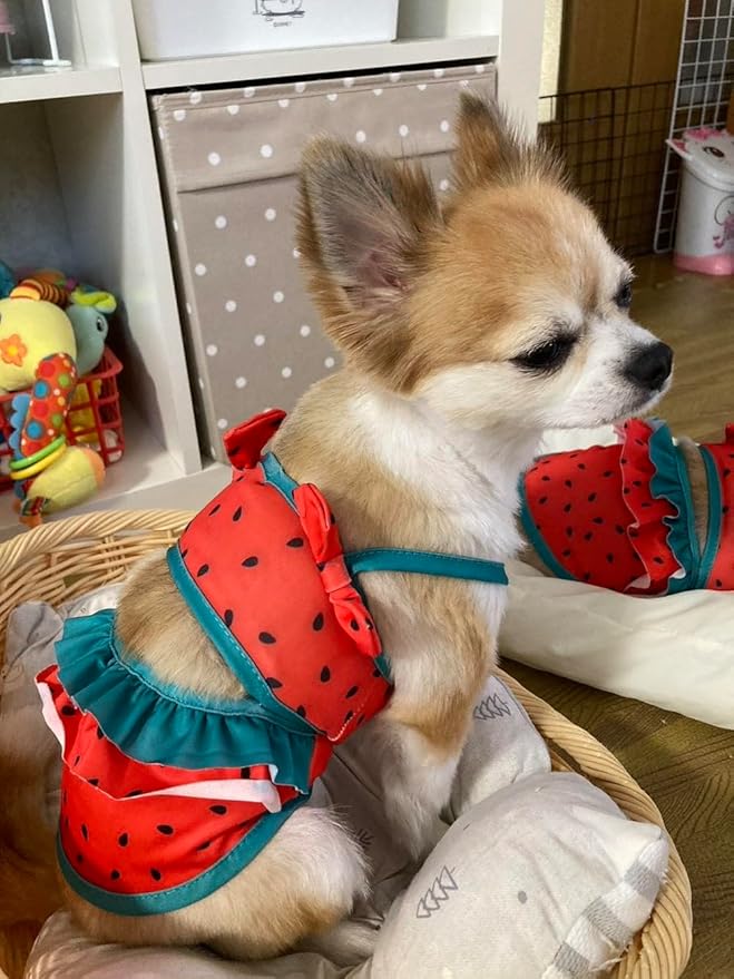 Funny Dog Swimwear Bikini Summer Dog Clothes Beach Swimsuit Puppy Bathing Suit Puppy Vest Cooling Pet Shirt for Small Dogs, Cat Apparel (Watermelon, X-Small)