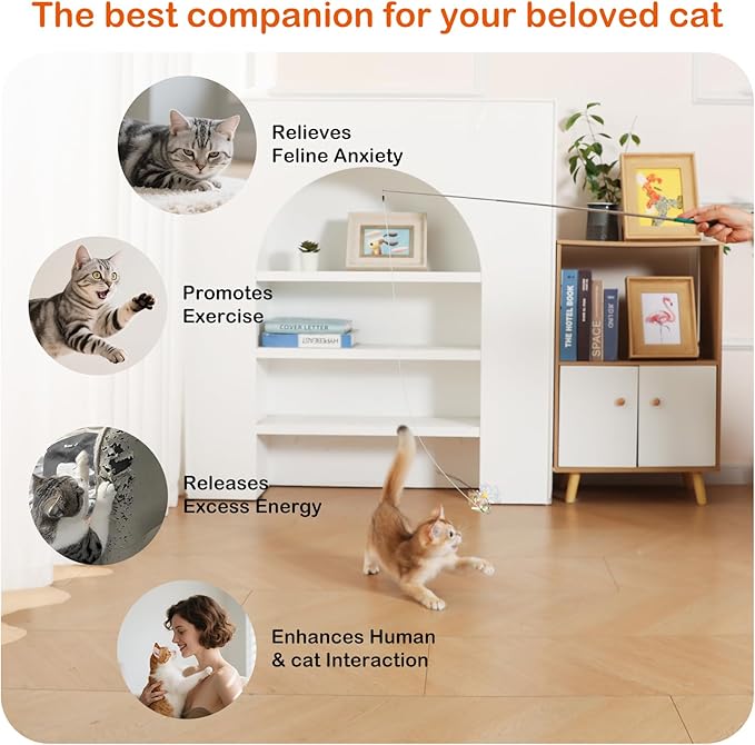 BioBugs Refill Pack – Dragonfly, Butterfly, Mayfly & Spider Attachments for Interactive Cat Wand Toys