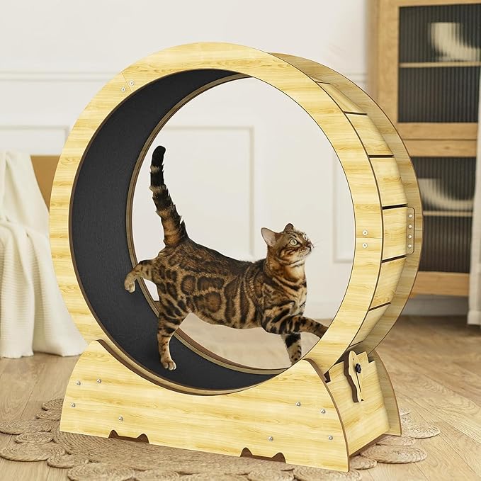 Cat Exercise Wheel for Indoor Cats - Cat Treadmill Wheel with Detachable Carpeted Runway - Natural Solid Wood Sturdy Running Wheel for Running/Walking/Training - Suitable for Most Cats, 36"