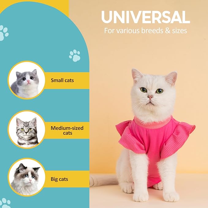 Avont Cat Recovery Suit - Post-Surgery Onesie for Cats, Alternative to Cone of Shame, Protective Spay Suit for Female Kitten, Ideal for Healing and Skin Conditions -Magenta(L)
