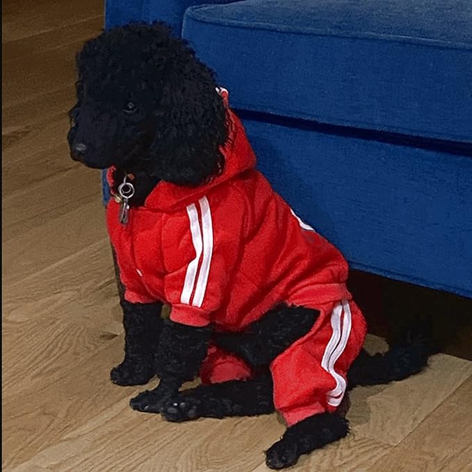 Pet Outfit - Cute Dog Hoodie Sweater Tracksuit Winter Clothes Jumpsuit Pajamas 4-Legs Red for Puppy Small Medium Large Dogs Boy or Girl (X-Small)