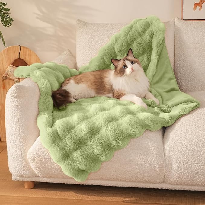 SOMAHE Cat Blanket, Reversible Sherpa & Bubble Fleece Pet Throw, Ultra-Soft Plush for Indoor Cats, Machine Washable, Anti-Static, Warm & Cozy, 22"Ă18" Inch Green