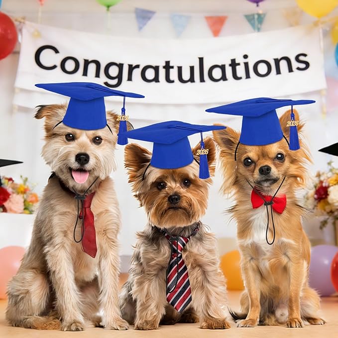 JULMELON Pet Graduation Caps with 2026 Blue Tassels, Dog and Cats Graduation Blue Hats Adjustable Mini Graduation Caps for AKC Graduation Photo Props Holiday Costume Accessories