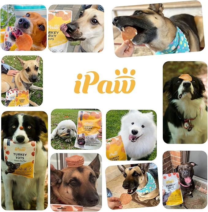 iPaw Soft Cat Treats for Indoor Cats, Healthy Kitten Snacks with Probiotics, Grain Free, Easy to Digest (Chicken and Cranberry)