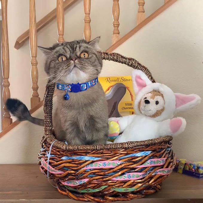 BoomBone Easter Cat Collar Breakaway, Set of 2 Spring Kitten Collars with Bell