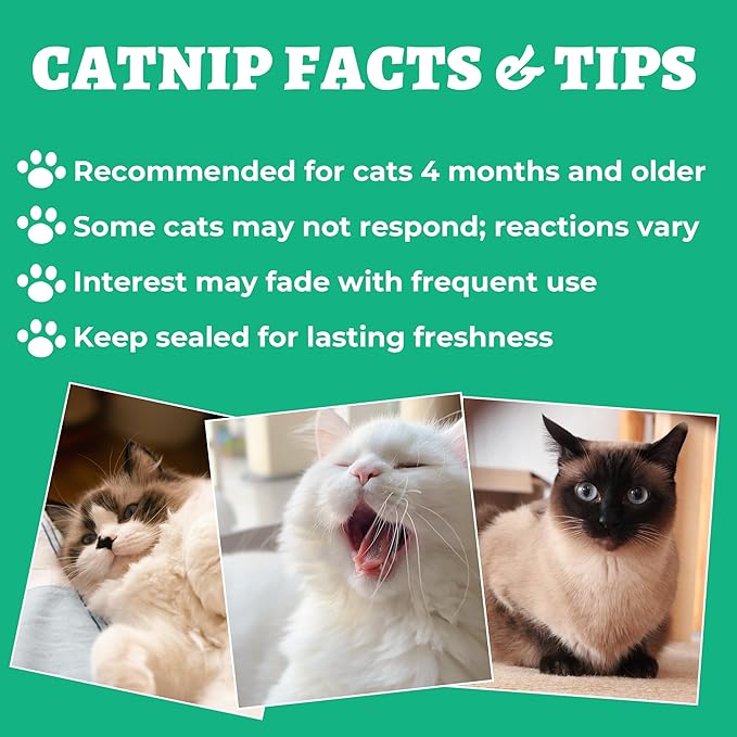 Wellix Natural Catnip & Freeze Dried Catnip Treats for Cats