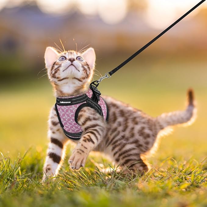 CatRomance Cat Harness and Leash Escape Proof for Walking, Safe Adjustable Large Kitten Vest Set with Reflective Strip for Kitty, Easy Control Comfortable Soft Outdoor Pet Harnesses, Pink, Large