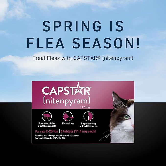 Capstar (nitenpyram) Cat Flea Treatment, Fast-Acting Oral Flea Treatment for Cats 2-25 lbs, Vet-Recommended Medication Tablets Start Killing in 30 Minutes, 6 Doses