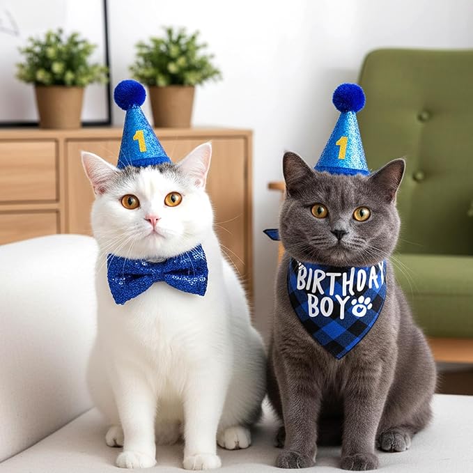 Cat Birthday Hat Set, Small Pet Birthday Party Supplies, Bandana Bow Tie Collar Hat with Number for Cats Kittens Apparel Outfits (Blue)