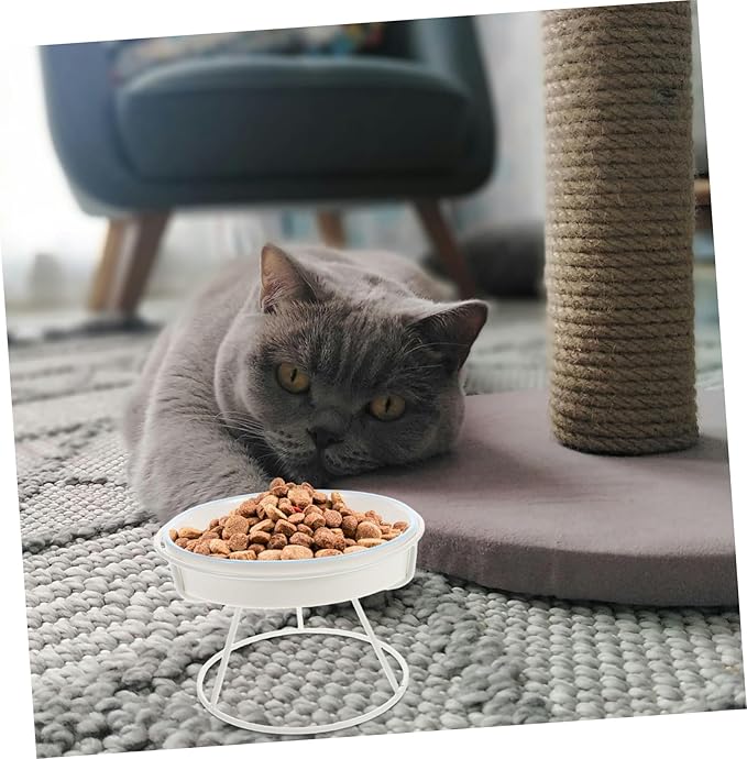 Raised Cat Bowl Food Feeding Station Slow Eating Ceramic Cat Dish with Elevated Stand Pet Feeder for Small and Kittens