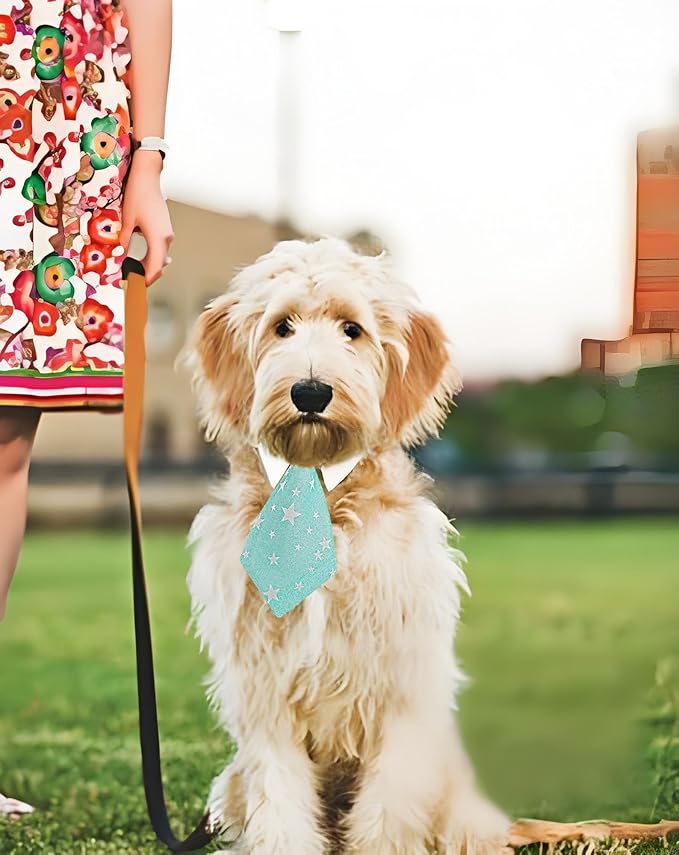 Cat tie and Dog tie Clothing, can be Adjusted According to the Neck Circumference of Pets, is Definitely the Most Handsome pet for Birthday Parties,Weddings, Photography. (Blue, Large)