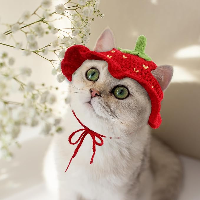 Piriuuo Strawberry Cat Hat, Cotton & Soft Cute Knitted Hats for Cats Strawberry Crochet Cat Hats for Cats Only Cute Puppy Hat for Small Pets on Christmas Birthday Party Halloween (Red, S)