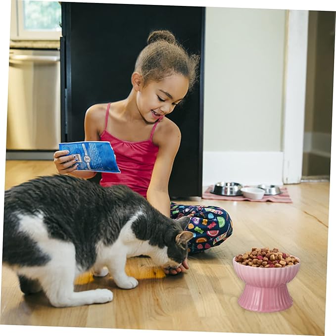 VICASKY Elevated Pet Food Bowl for Cats and Dogs Stylish Design Supports Healthy Eating Posture Easy Daily Feeding Vertical Stripes
