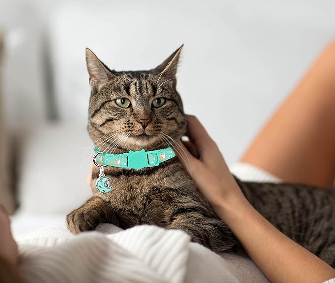 Baeuppit 2Pcs Breakaway Cats Collars Cat Collars for Boy & Girl Cats Adjustable Kitten Collars with Bell,Purple+Teal,8"-13.1"