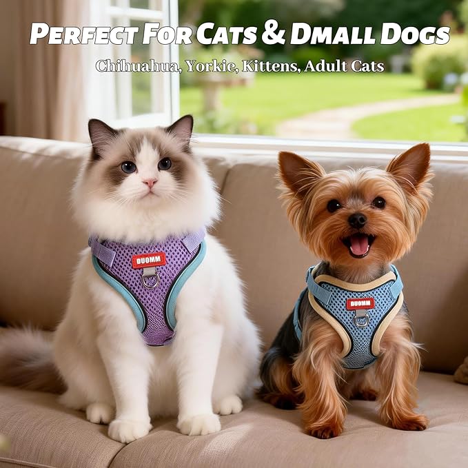 Cat Harness and Leash Set Escape Proof, Soft Mesh Cat Vest Harness and Leash for Walking and Training, Adjustable Reflective Kitten Harness and Leash Set for Small Dogs and Cats (Purple, M)