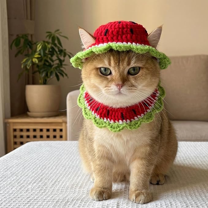 Handmade Crochet Watermelon Kitten Cat Hat Bowtie Collar | Cute Knitted Breakaway Cat Tie Collars Ideal for Birthdays, Pet Parties, Seasonal Celebrations (Red and Green)