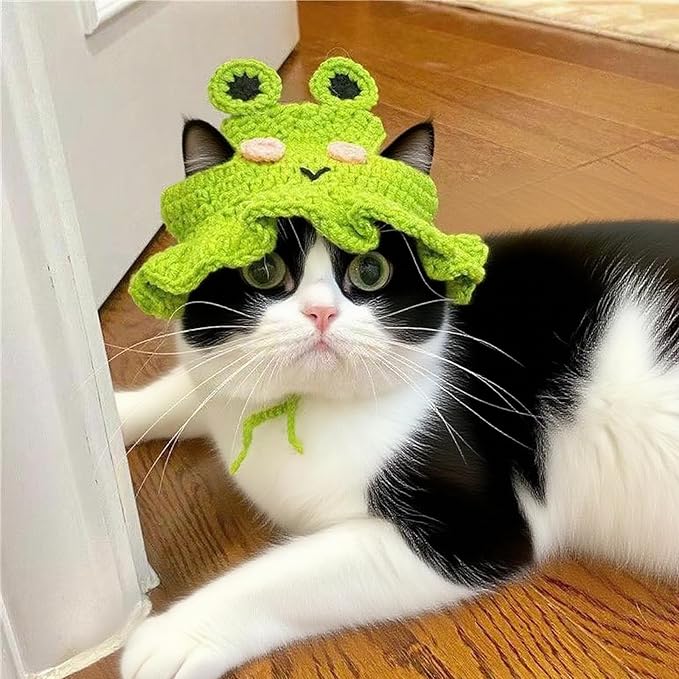 Cat Hat for Cats, Pet Cute Halloween Christmas Party Costume Accessories Headwear Comfortable for Puppy Cat Kitten Pet Puppies 11-14" (Green)