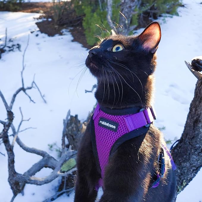 rabbitgoo Cat Harness and Leash for Walking, Escape Proof Soft Adjustable Vest Harnesses for Cats, Easy Control Breathable Reflective Strips Jacket, Purple, XS