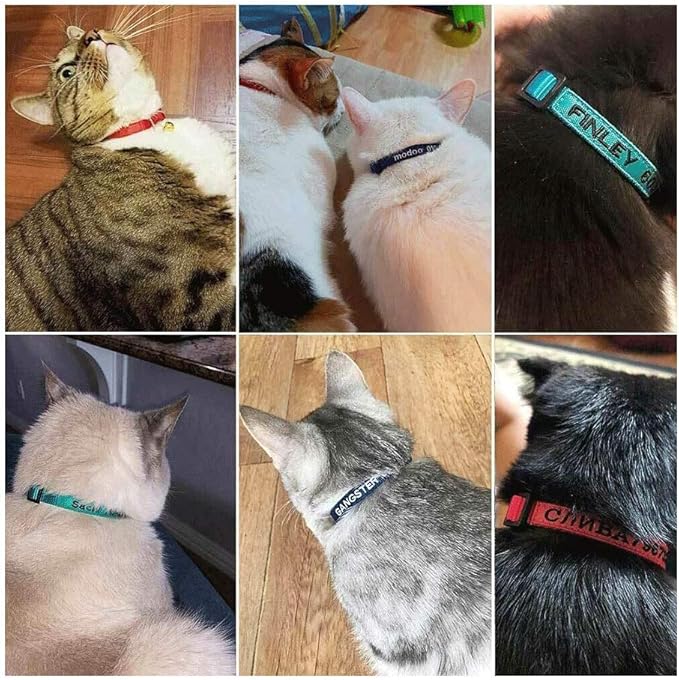 Personalized Cat Collar Embroidered Pet Name and Number Kitten Collar with Bell & Breakaway Safety Buckle