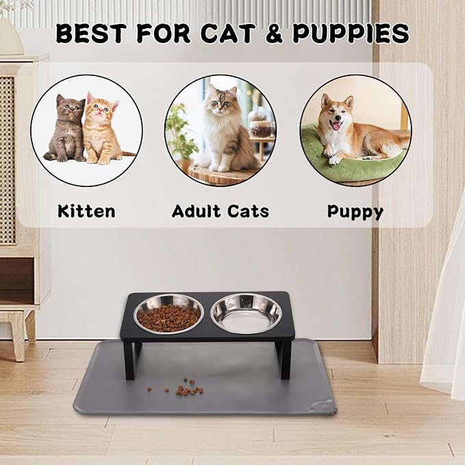 2Pack Elevated Cat Bowls with Food Mat,15°Tilted Stand Anti Vomiting Raised Cat Dishes for Food and Water,2 Stainless Steel Bowls for Cats and Puppy,Black