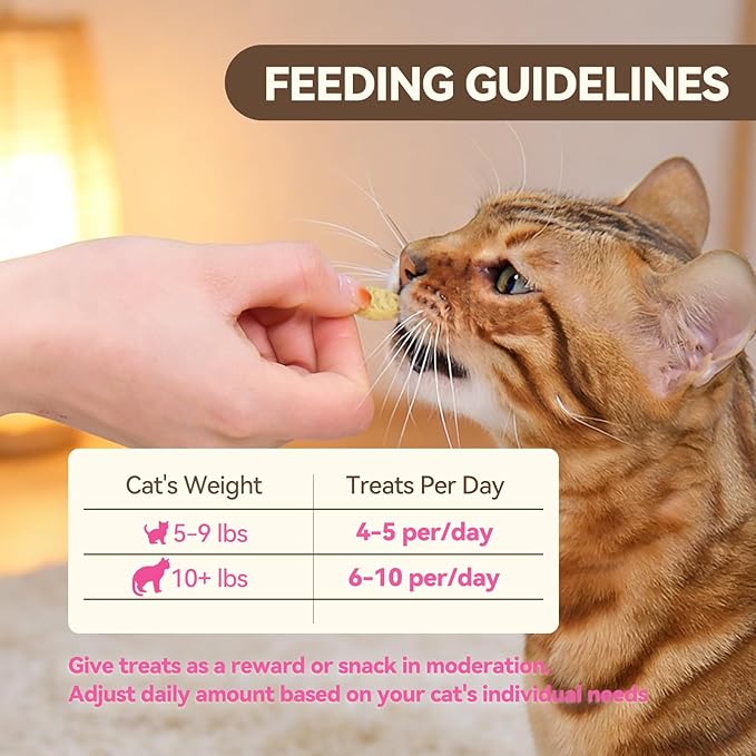 Catnip Cat Treats, Chicken & Salmon Flavor Crunchy Cat Biscuits, Fish-Shaped Training Snacks for Adult Cats, 16 oz
