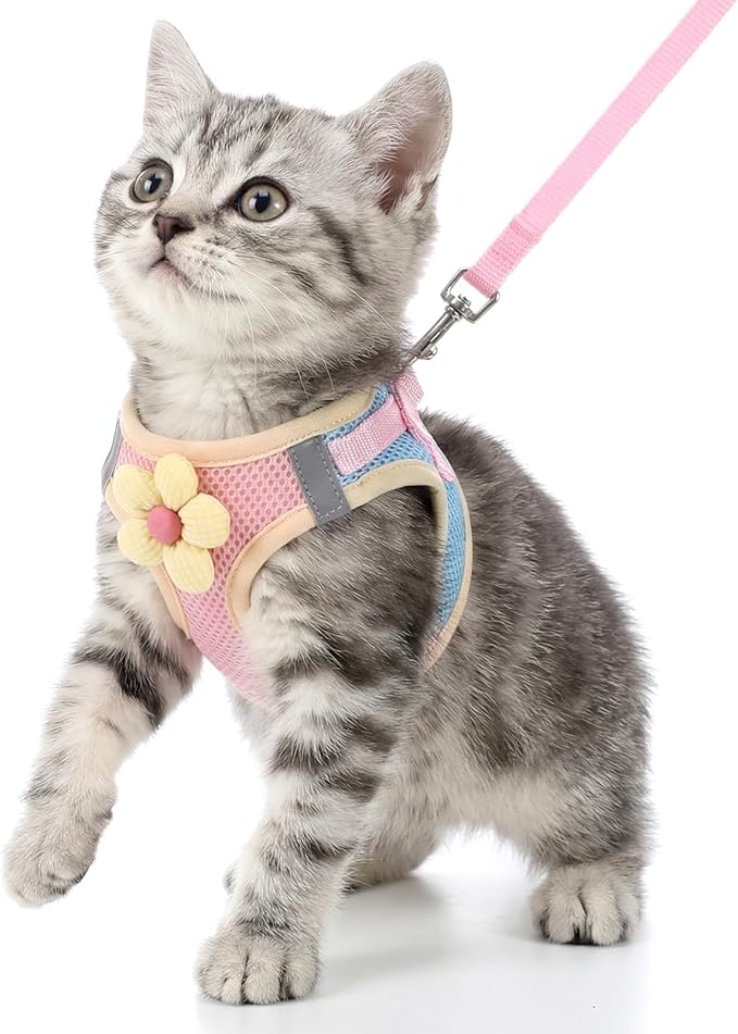 Flower Cat Harness and Leash Set for Walking Escape Proof, 10.2-11.8in Neck Adjustable Kitten Harness and Leash Set Breathable Soft Mesh with Reflective Strap for Kitten Bunny Cat Puppy