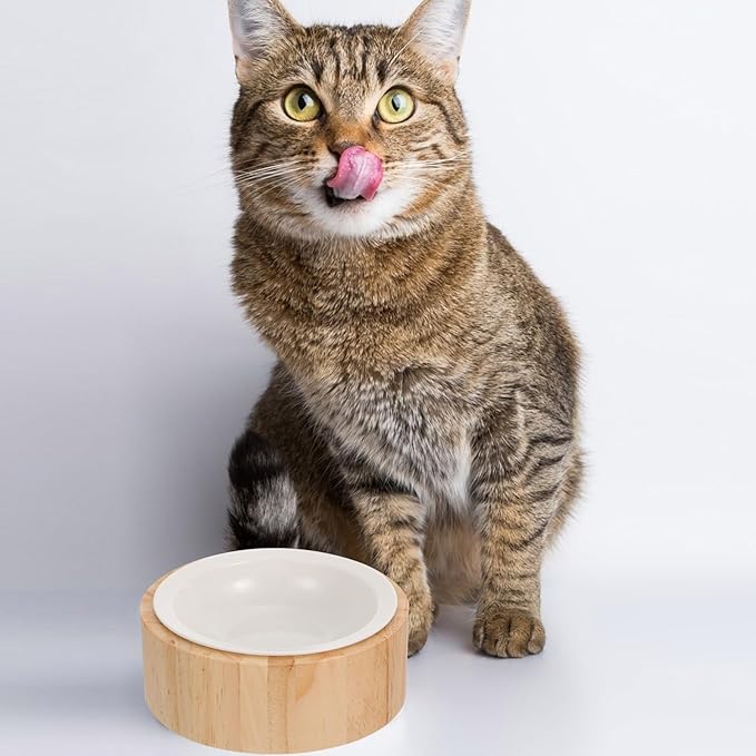 NUOBESTY Elevated Ceramic Cat Bowl with Wood Stand Anti-Vomiting Raised Pet Feeder Dish Round Single Bowl for Cat Feeding and Watering Spine Protection