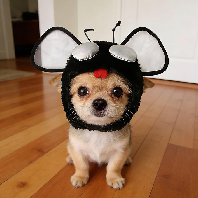 Funny Fly Cat Hats, Soft Cute Kitten Puppy Headwear Costume Accessories, Halloween Christmas Holiday Birthday Party Clothes Decoration Cap for Cats, Black, 1 Piece