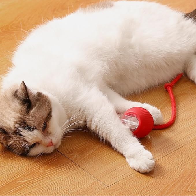 6 Pcs Red Cotton Thread Interactive Cat Toy Ball Replacement Ropes, Tail Accessories for Kitten Rolling Balls - Playtime, Exercise & Daily Fun