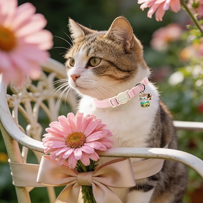 2 Pack Pink Purple Cat Collars Breakaway with Bell, DOGWONG Safety Buckle Cute Cat Collar for Girl Cats,Adjustable 7-12 Inch,Pet Supplies Accessories