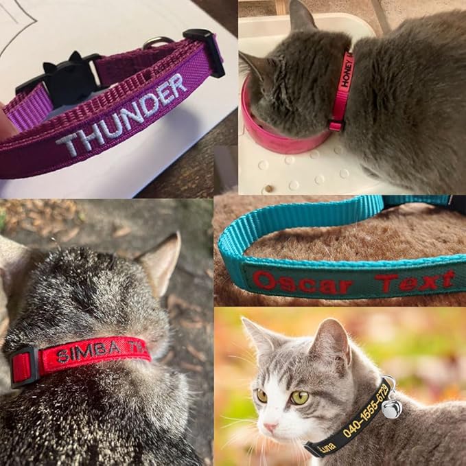 Personalized Cat Collar with Embroidered Name and Phone Number, Breakaway Safety Design