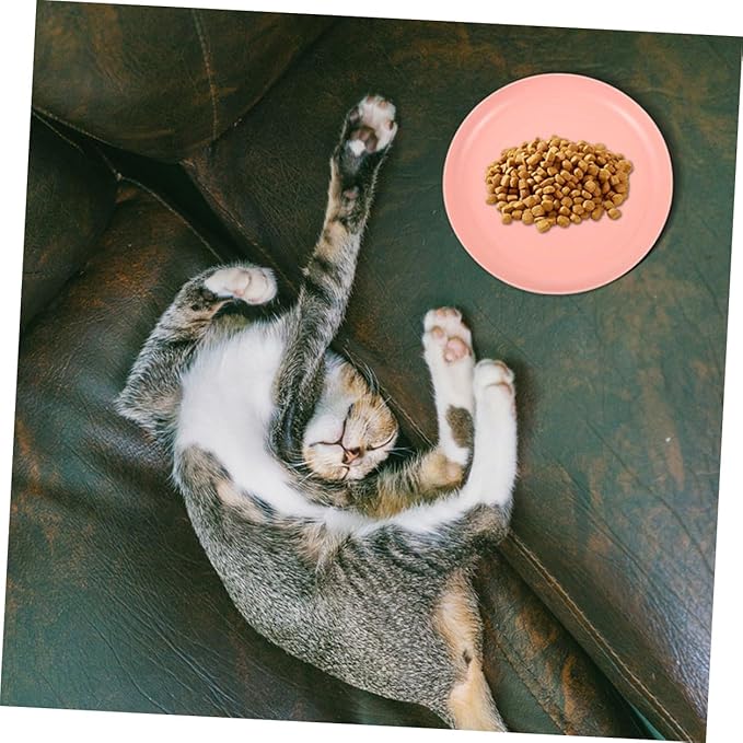 Amosfun 4pcs Shallow Cat Bowls Set, Sturdy Pet Food Plates 20cm, Wide Flat Round Dishes for Small and Short-Legged Cats, Multi-Color Feeding and Watering Supplies