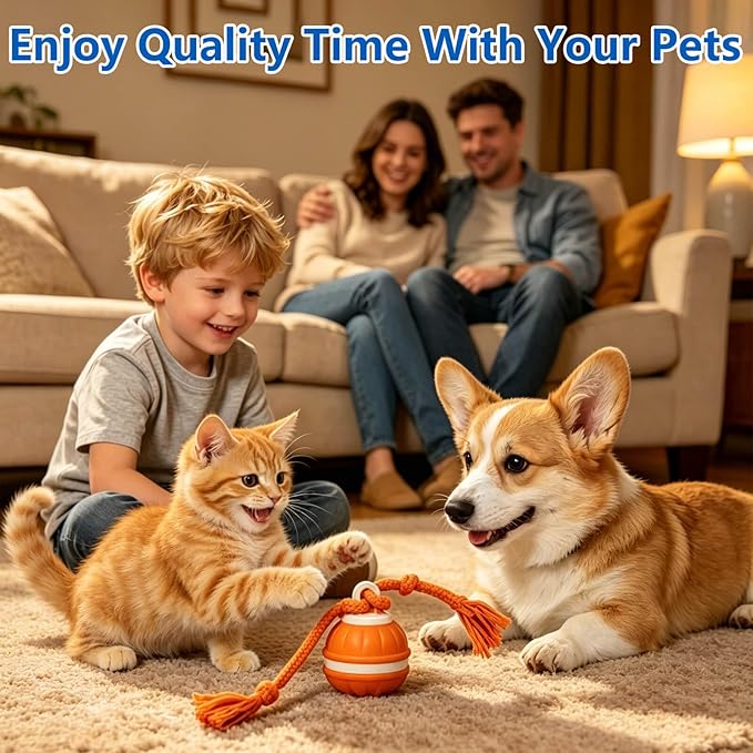 Interactive Dog Ball, 360° Self-Moving Dog Toy with LED Lights & Squeaker, Automatic Fetch Toy for Boredom & Training, USB-C Rechargeable Smart Pet Toy for Small Medium Dogs & Cats
