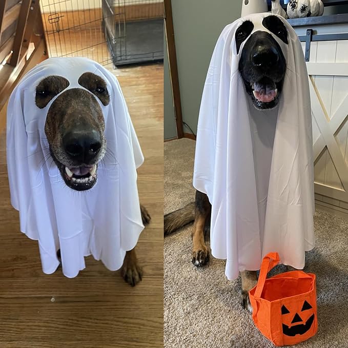 Dog Ghost Halloween Costume 2PCS Funny Ghost Face Cape Pumpkin Bucket White Ghost Poncho for Large Dogs Trick or Treat Bags Spooky Outfit Cosplay Ghost Clothes (Medium)