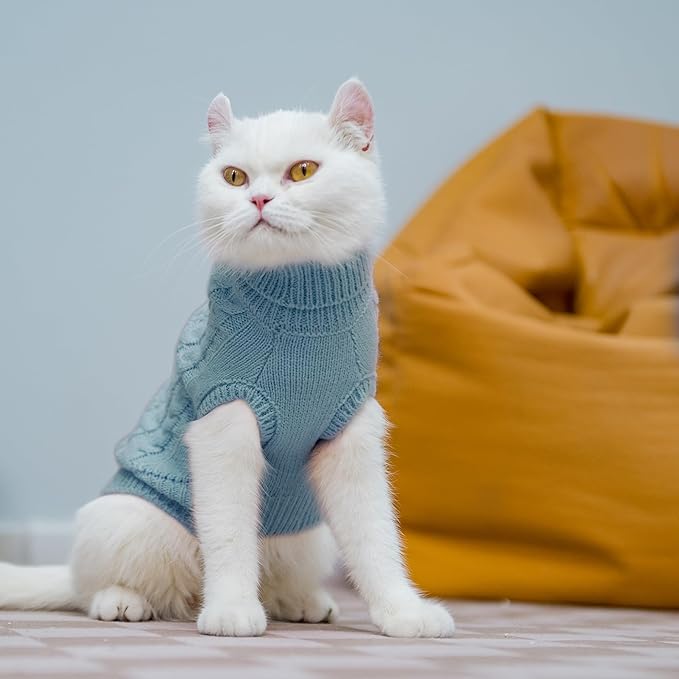 PUPTECK Winter Cat Sweater Coat - Soft Warm Cold Weather Clothes Knitwear for Kittens & Small Dogs Indoor Outdoor Wearing, Knitted Classic for Doggies Kitties Girls Boys, Sky Blue, S
