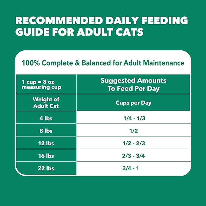 IAMS Proactive Health Senior Dry Cat Food, Cat Food Dry Chicken Recipe, Real Chicken in Every Bite, 3.5 Lb. Bag