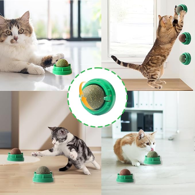 3PCS Catnip Balls for Cats Wall Edible Cat Toys with Catnip Silvervine Gall Fruit Flavors for Cat Lick Safe Teeth Cleaning Dental Cat Toys